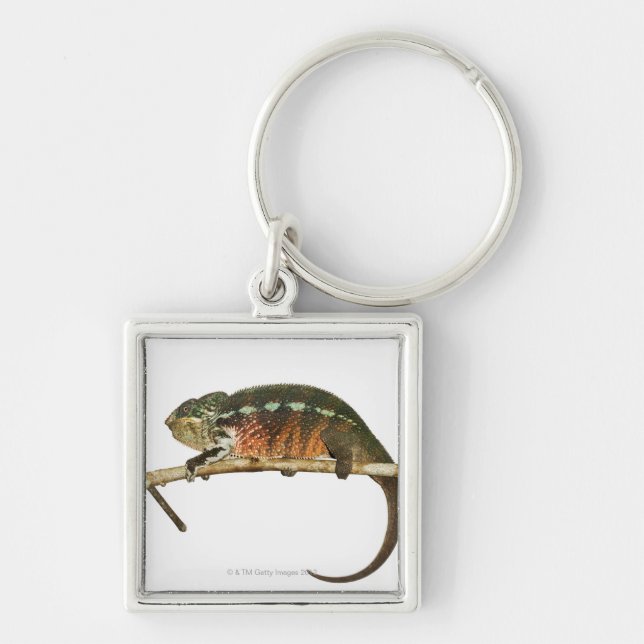 Madagascar 2 keychain (Front)
