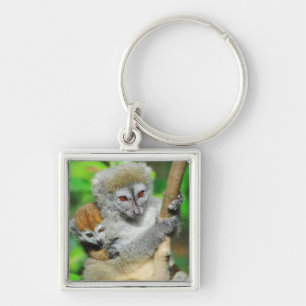 Madagascar, Andasibe, Ile Aux Lemuriens, Mother Keychain