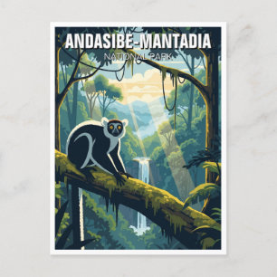 Madagascar Andasibe-Mantadia National Park Travel Postcard