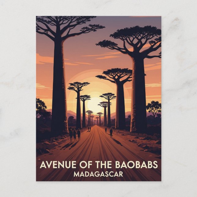 Madagascar Avenue of the Baobabs Travel Postcard (Front)