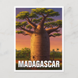 Madagascar Baobab Tree Travel Postcard