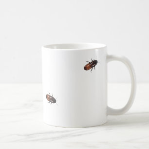 Madagascar Cockroaches Invade Coffee Mug