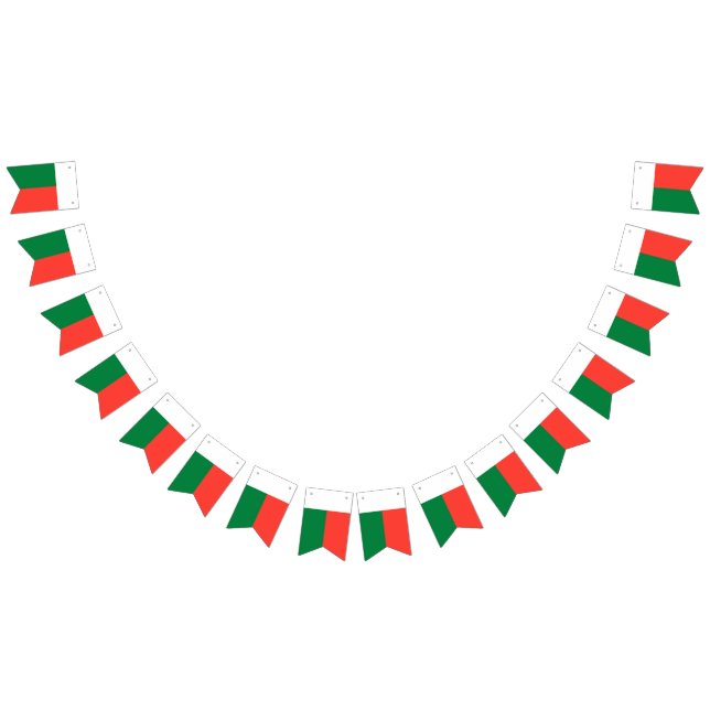 Madagascar Flag (All)