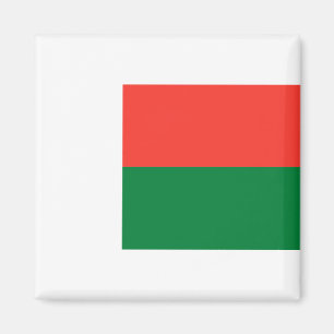 Madagascar Flag Magnet