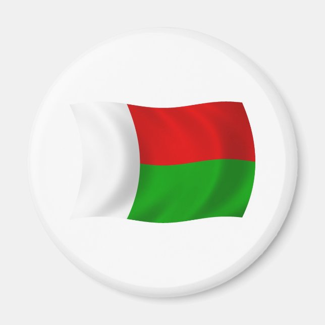 Madagascar Flag Magnet (Front)
