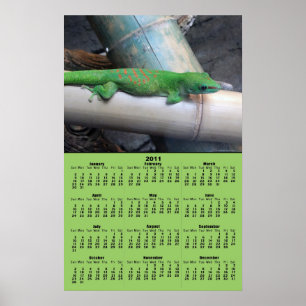 Madagascar Giant Day Gecko 2011 Calendar Poster