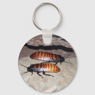 Madagascar Hissing Cockroach Keychain