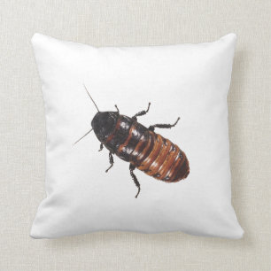 Madagascar Hissing Cockroach Throw Pillow