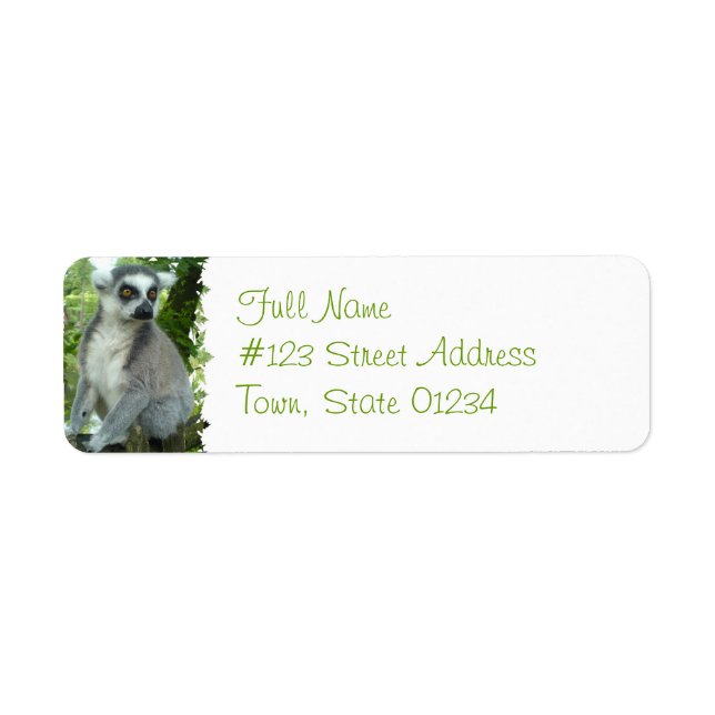 Madagascar Lemur Return Address Label (Front)