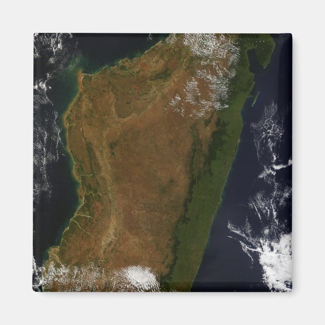 Madagascar Magnet (Front)