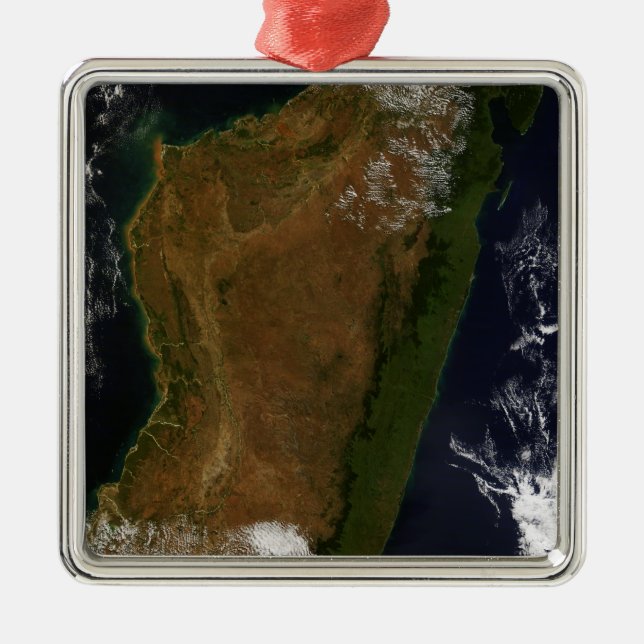 Madagascar Metal Ornament (Front)
