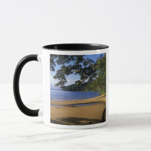 Madagascar, Nosy Mangabe Special Reserve, on Mug
