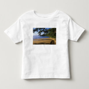Madagascar, Nosy Mangabe Special Reserve, on Toddler T-shirt