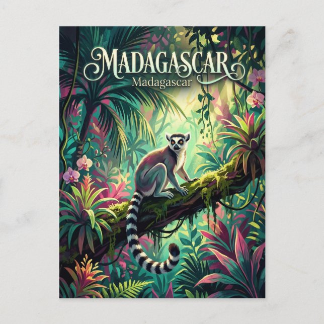 Madagascar Rainforests Madagascar Postcard (Front)