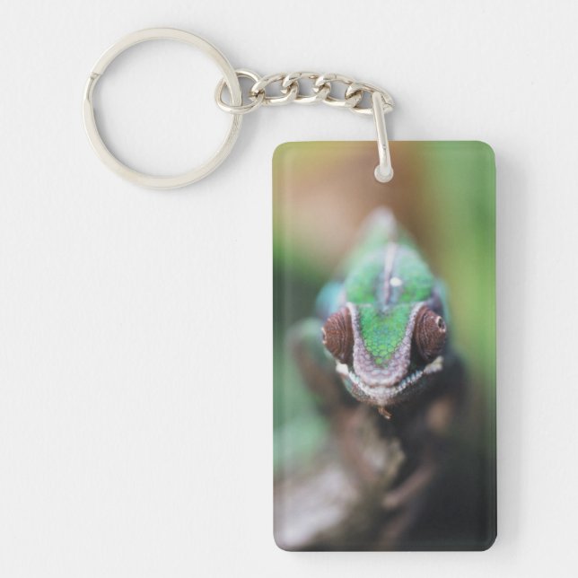 Madagascar, Red bar Panther Chameleon Keychain (Front)
