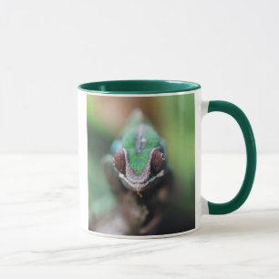 Madagascar, Red bar Panther Chameleon Mug