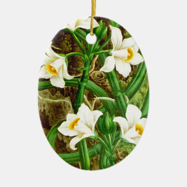 Madagascar Vanilla Orchid Ceramic Ornament (Front)