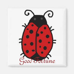 Madame Bug : Bonne chance, aimant de bonne chance