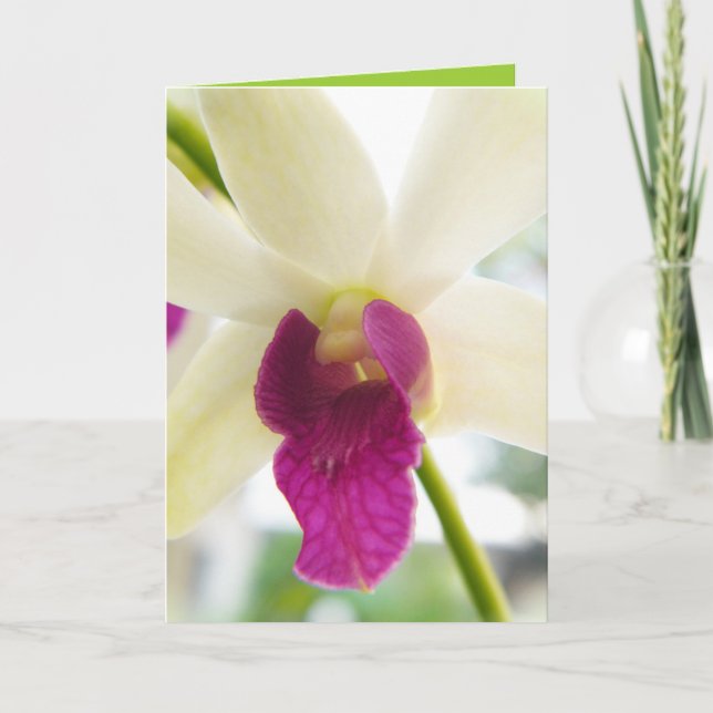 Madame Orchid Card (Front)