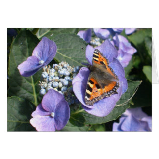 Madame peinte Butterfly 1