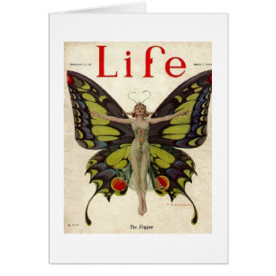 Madame vintage Butterfly d'aileron,