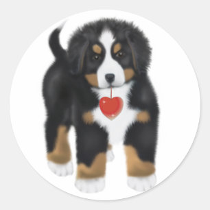 MadDog's My Heart Is Yours Stickers