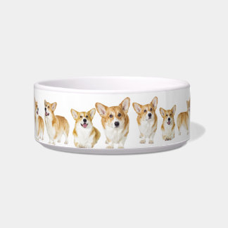 Made for Royalty, Adorable Corgi Medium Pet Bowl