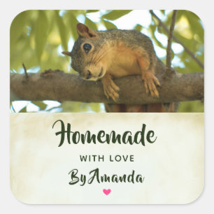 Made with Love Cute Curious Squirrel Nature Photo Square Sticker