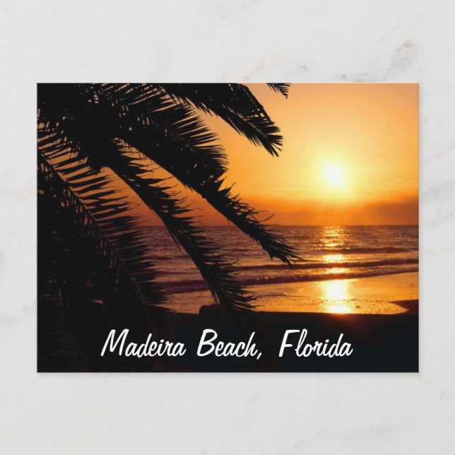 Madeira Beach Florida Postcard (Front)