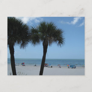 Madeira Beach Palms Postcard