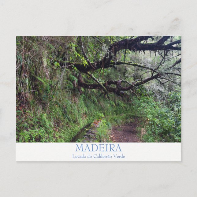 Madeira - Caldeirao Verde postcard with text (Front)
