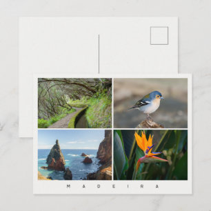 Madeira island photo collage, modern travel postcard