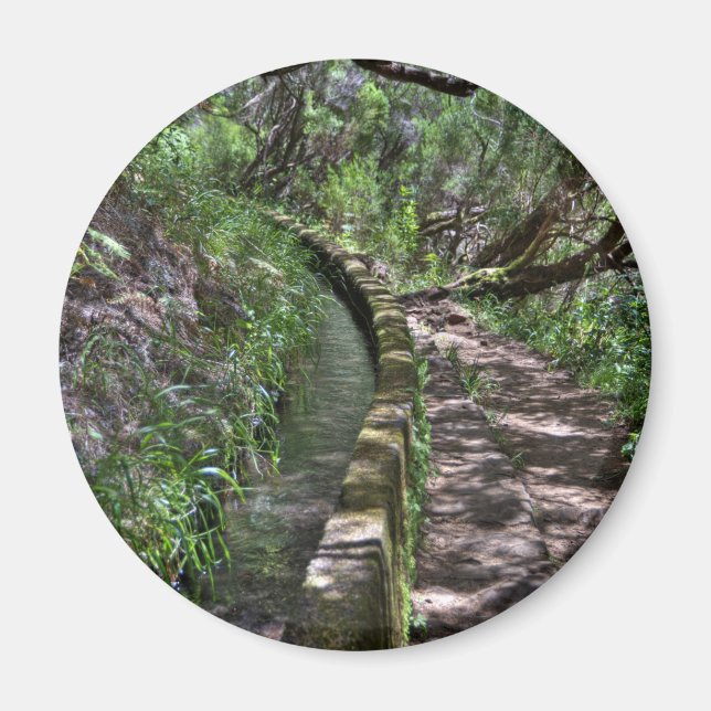 Madeira Road Way Magnet (Front)