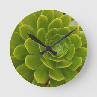 Madeira's Green Embrace Round Clock