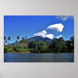 Maderas Poster