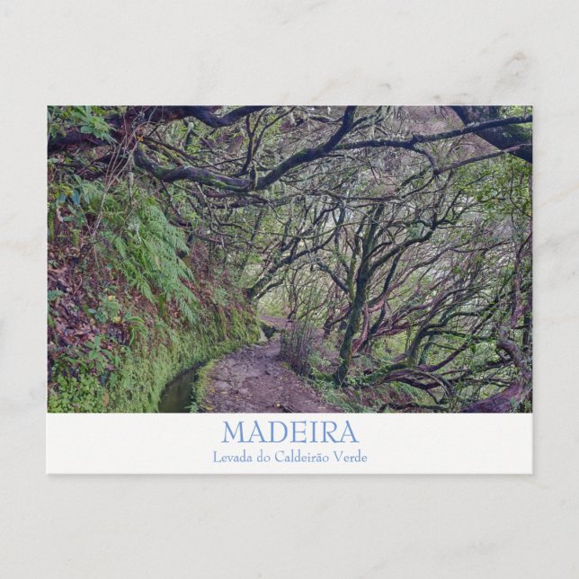 Madère - Caldeirao Verde carte postale avec texte (Devant)