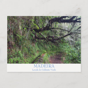 Madère - Caldeirao Verde carte postale avec texte