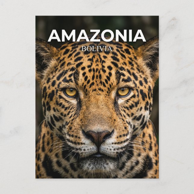 Madidi National Park Bolivia Postcard (Front)