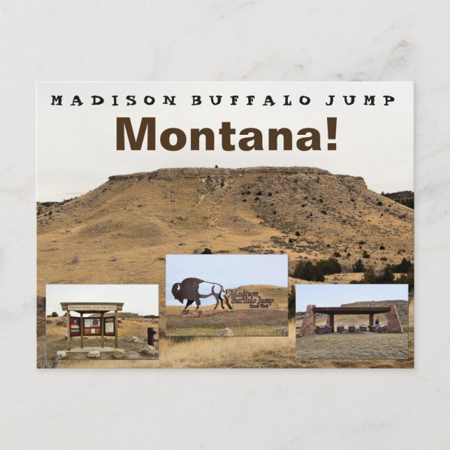 Madison Buffalo Jump Postcard (Front)