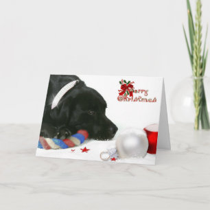 Madison la carte de Noël Black Labrador