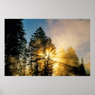 Madison River   Yellowstone National Park Poster