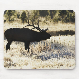 Madison River, Yellowstone NP, Wyoming, USA Mouse Pad