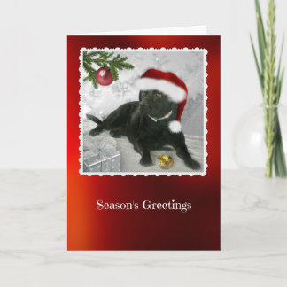 Madison the Black Labrador Christmas Card