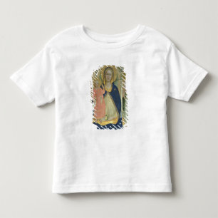Madonna and Child enthroned with Saints, detail sh Toddler T-shirt