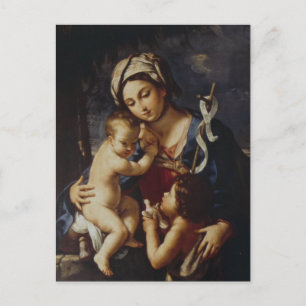 Madonna and Child with St. John by Sirani Postcard