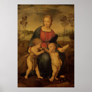 Madonna of the Goldfinch, c.1506 Poster