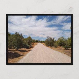 Madrid (Spain) Postcard