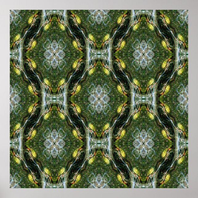 Madrone lace garden....... poster (Front)