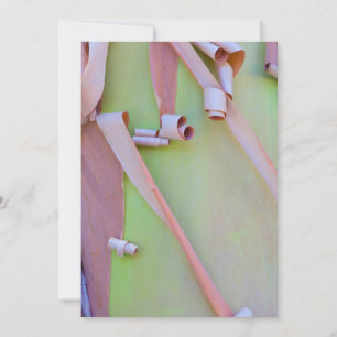 Madrone Tree Bark Abstract Thank You Card