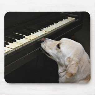 maestro mouse pad